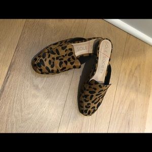 Sole society leopard
